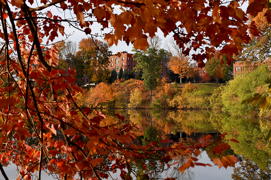 Autumn at Springfield College