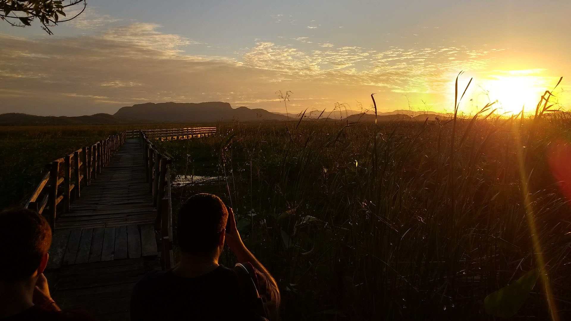 Sunsetting over the marsh in Costa Rica. 