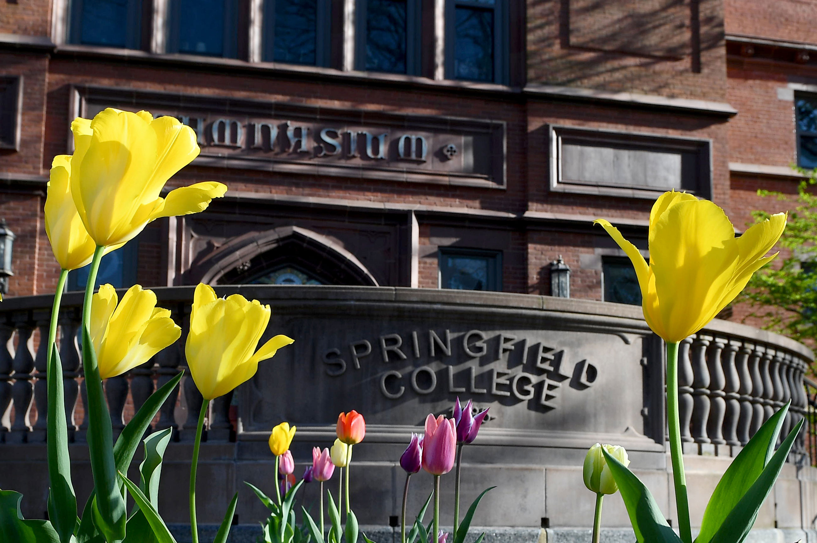 Flowers in front of Judd Gymnasia