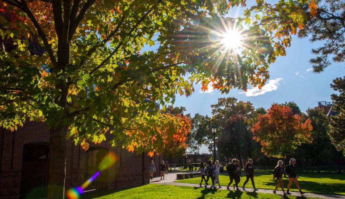 Sunlight through fall leaves on campus