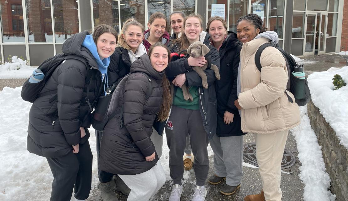 Springfield College Students with Remy the Comfort Dog