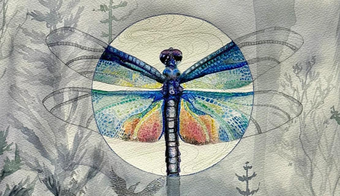 a painting of a colorful dragonfly against a muted gray background