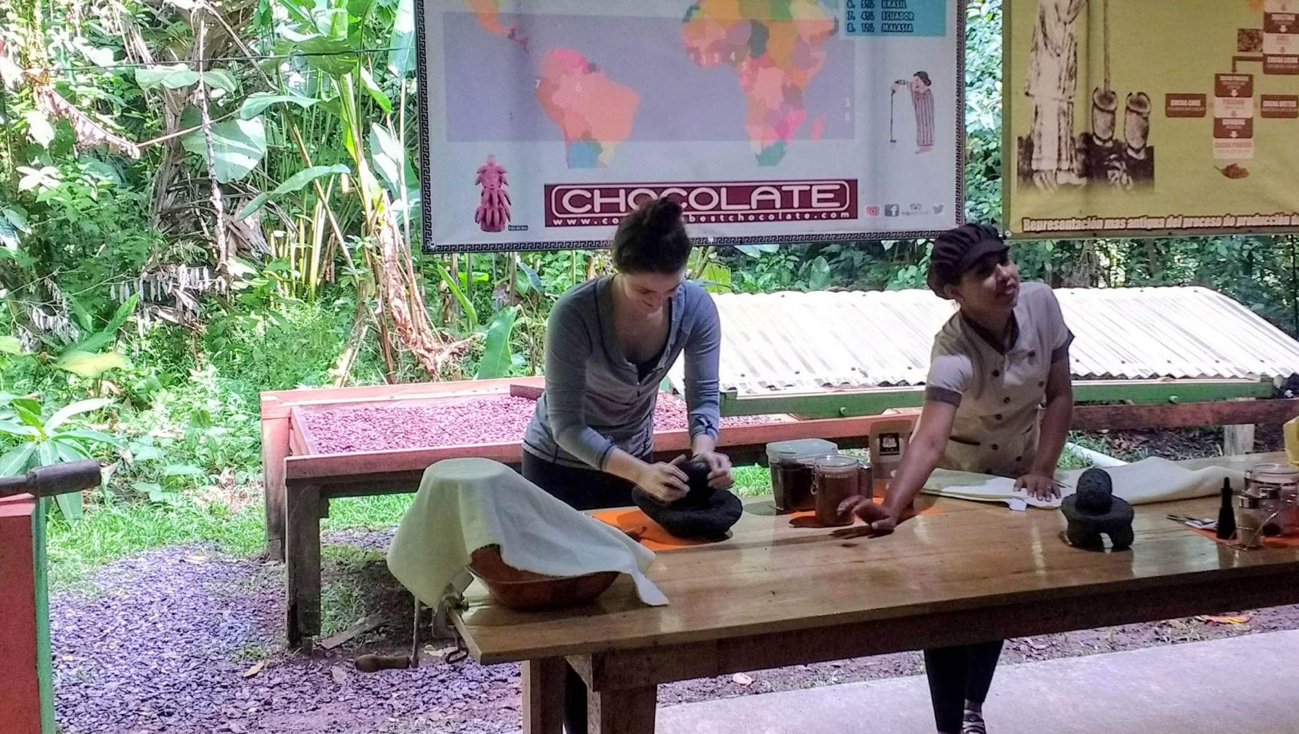 A student handgrinds a cacao plant.