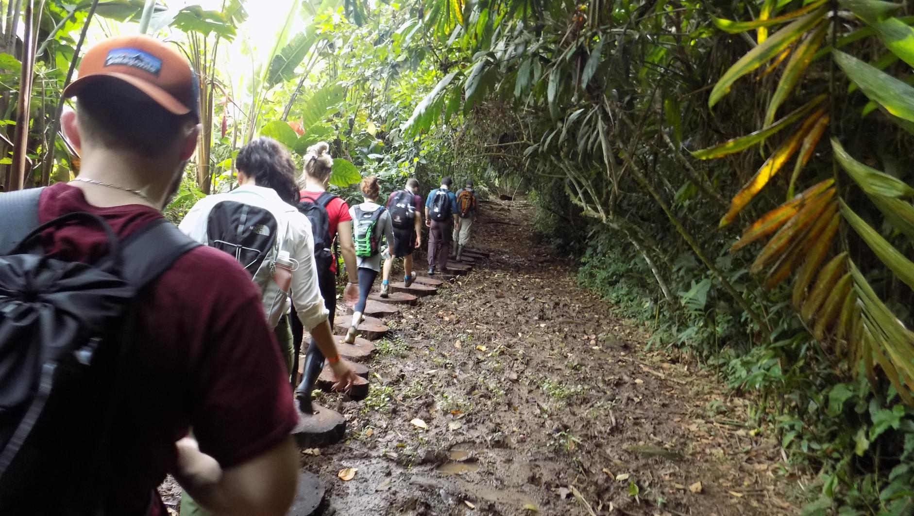 Students walk through Costa Rica wilderness