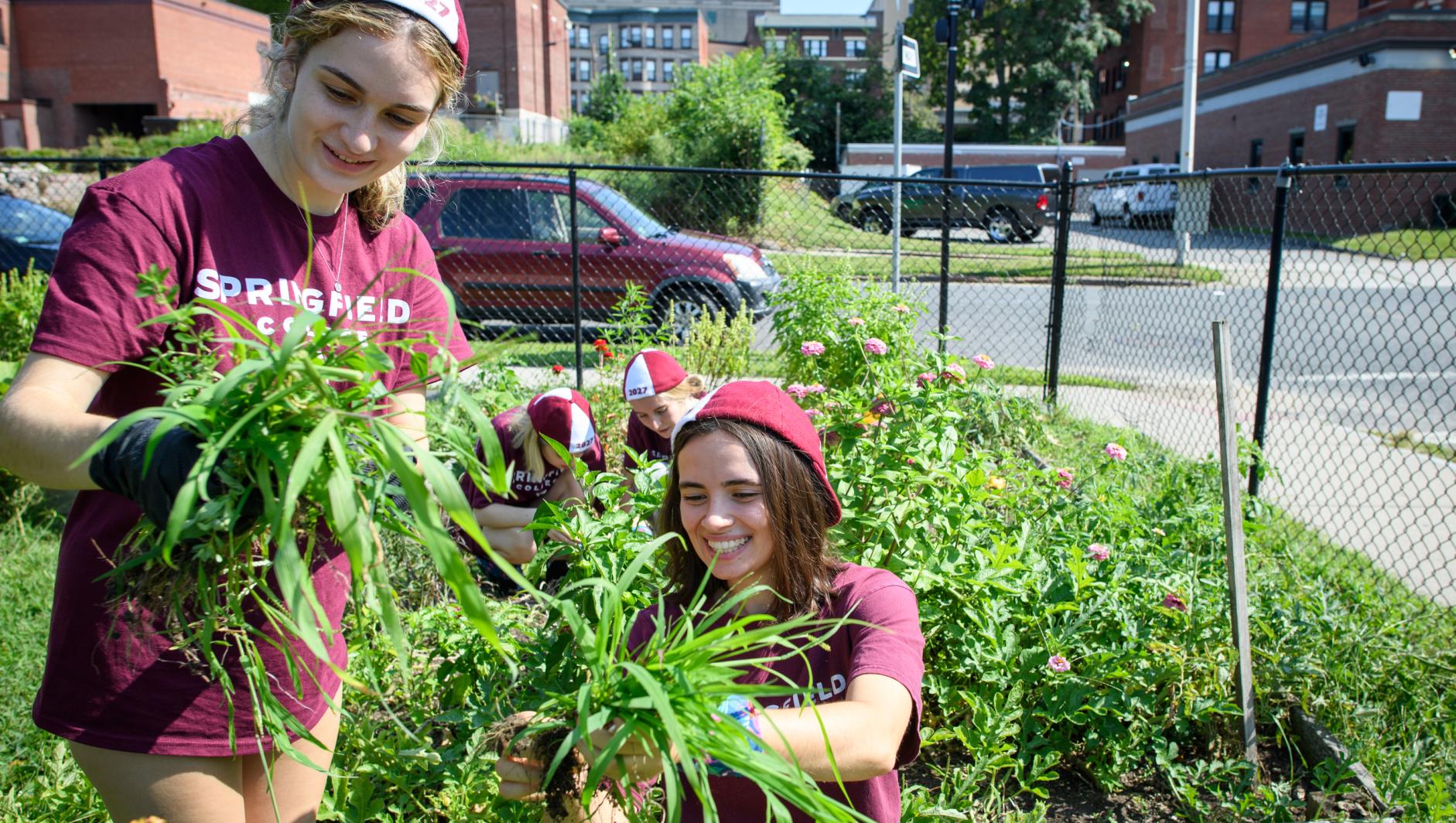 Two female students weeding a garden in Springfield neighborhood.