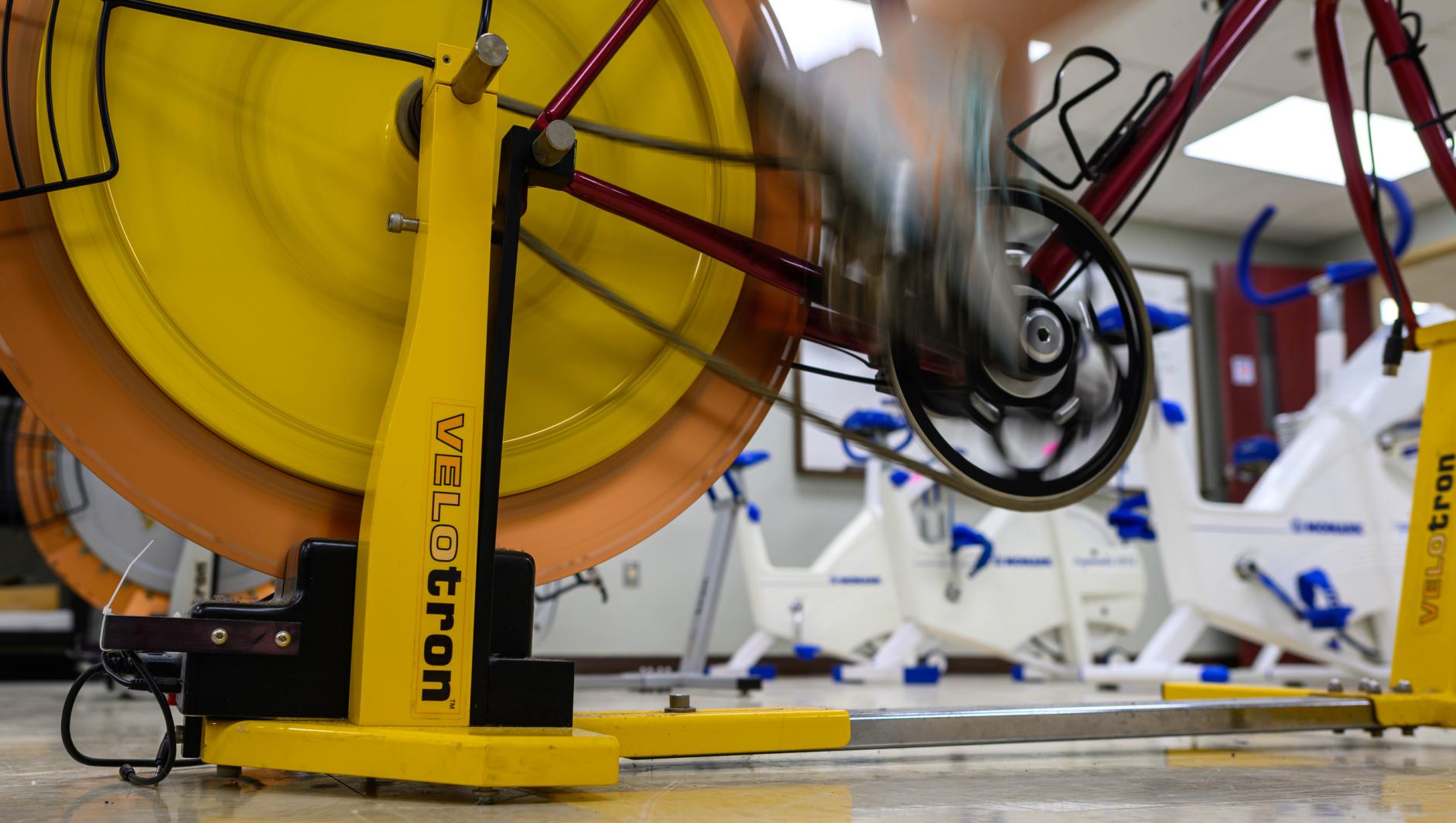 Velotron Cycle Ergometer in use during a cardiac performance test inside the Springfield College Human Performance Lab