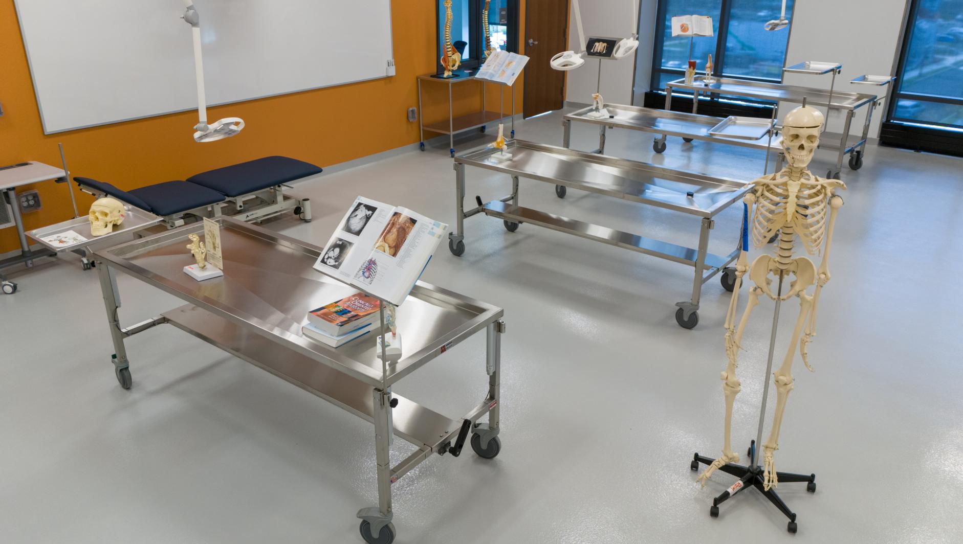 Human Anatomy Lab
