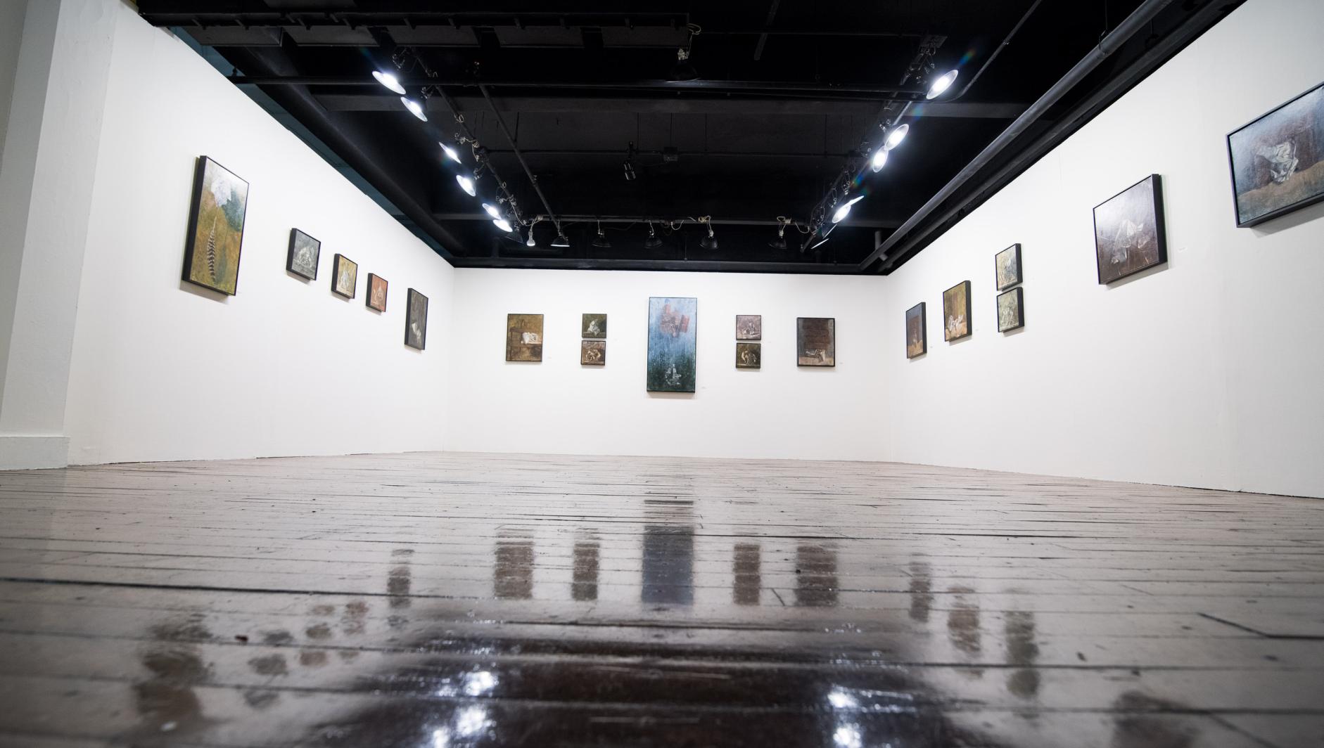 William Blizard Gallery
