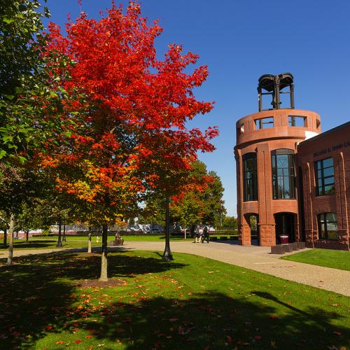 Leaves changing colors on the beautiful Springfield College campus