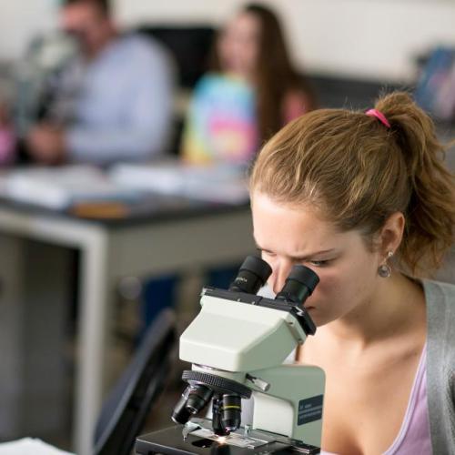 Why Study Science at Springfield College