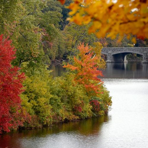 Fall foliage over the lake at Springfield College