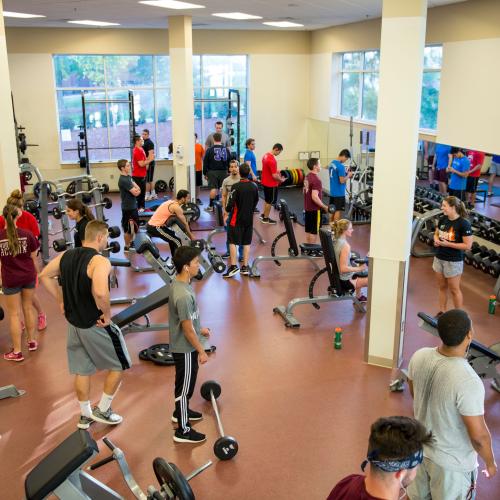 wellness and strength area in the wellness center