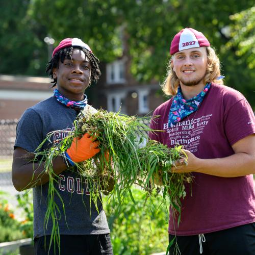 Students gathering weeds collected from a yard cleanup in the community