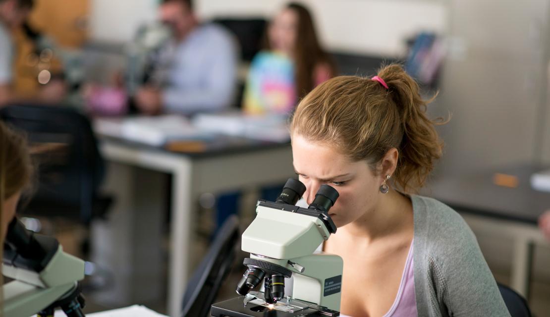A student studies science at Springfield College