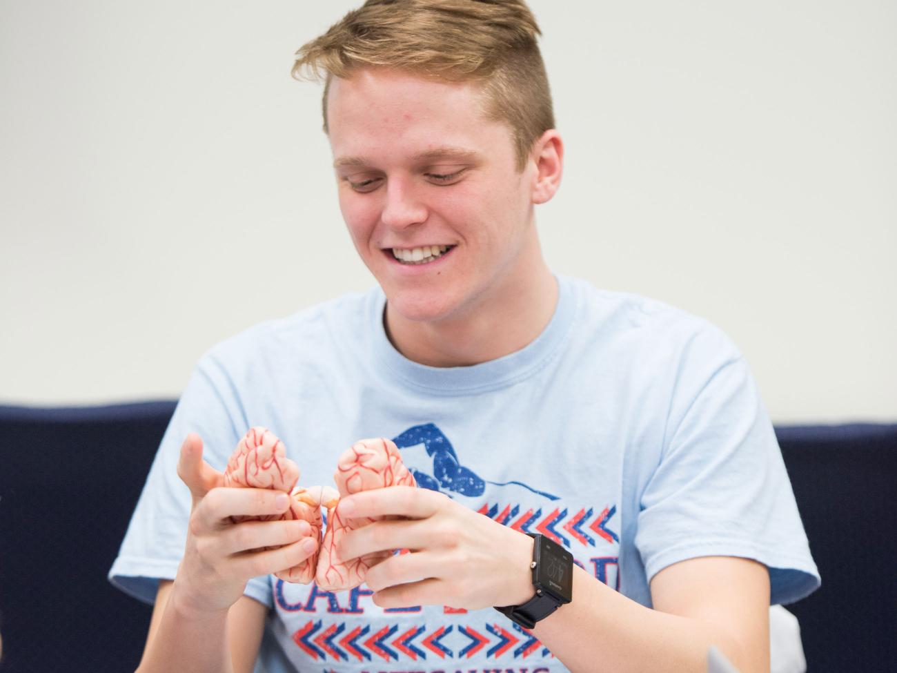 A student looks at a brain prop during a class meeting.