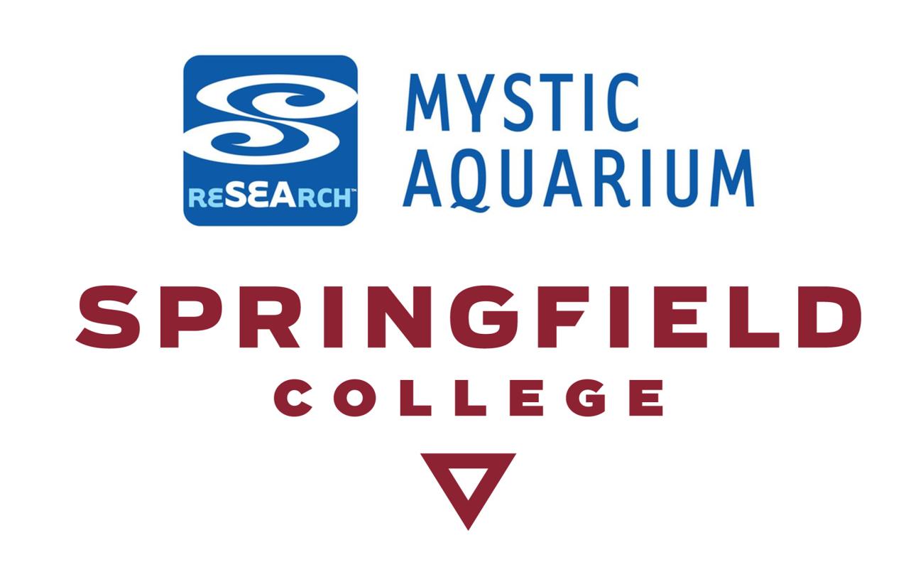 Springfield College and Mystic Aquarium have partnered to offer summer camps on the Springfield College campus that are designed for youth who love animals, the aquatic world, and environmental conservation.