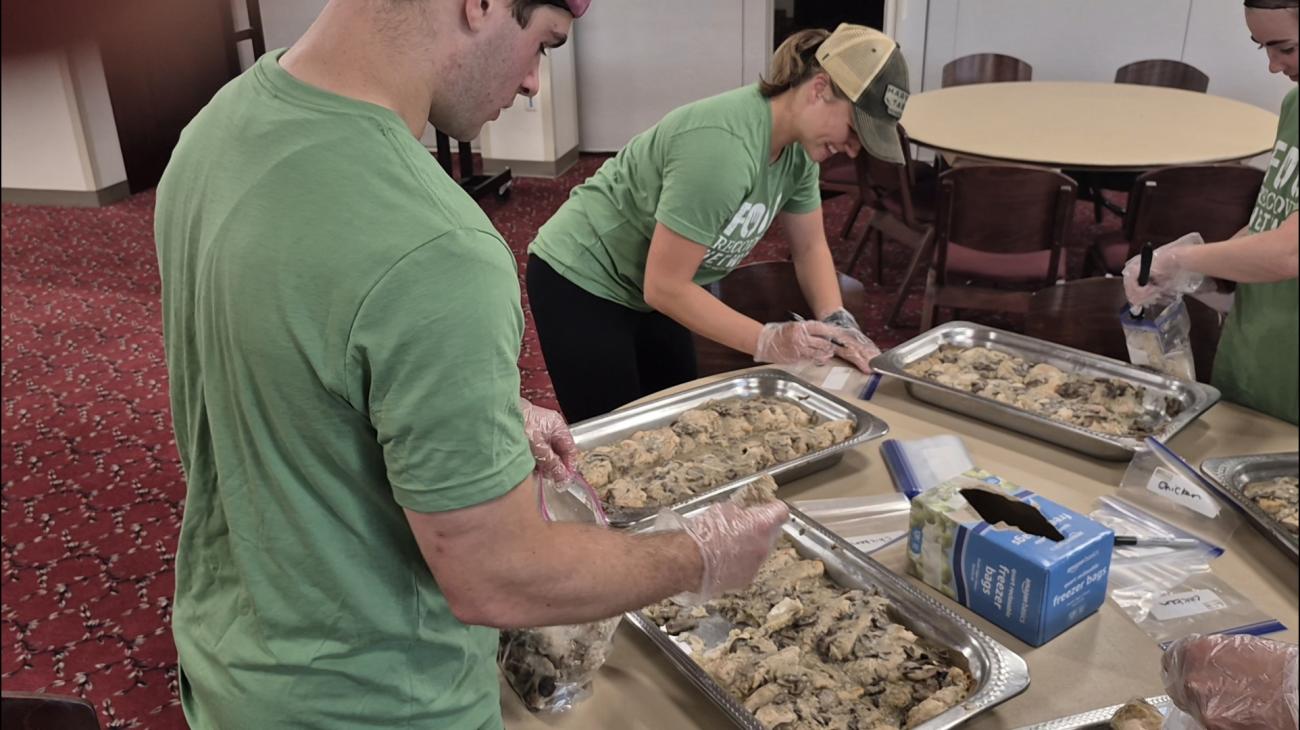 Food Recovery in Action