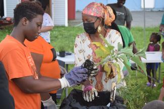 Most recently, in partnership with the Northeast Organic Farming Association and Sister Anna Muhammad, the Center hosted a community gardening event where surrounding neighbors could learn how to grow and harvest fresh produce