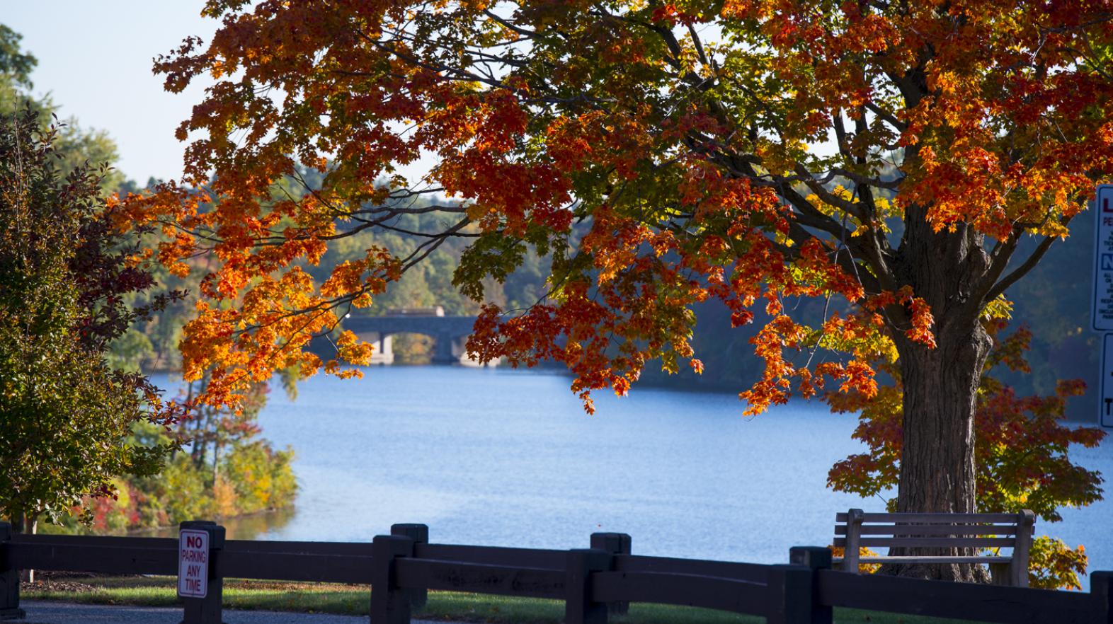 Autumn leaves and Lake Massasoit