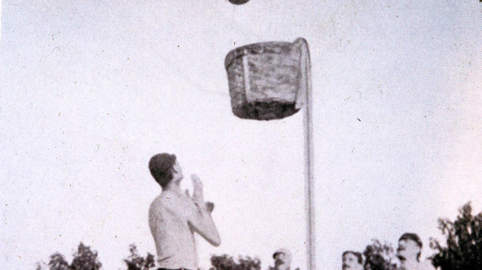 Peach Basket Basketball Hoop