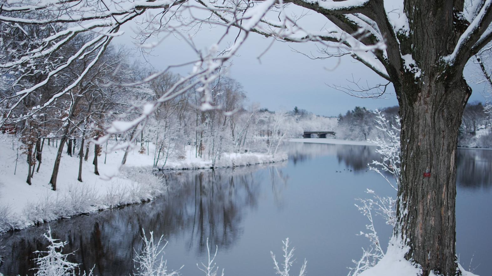 Springfield College student Bryttnie Thomas had no trouble making winter look appealing with this photo of a snowy Lake Massasoit