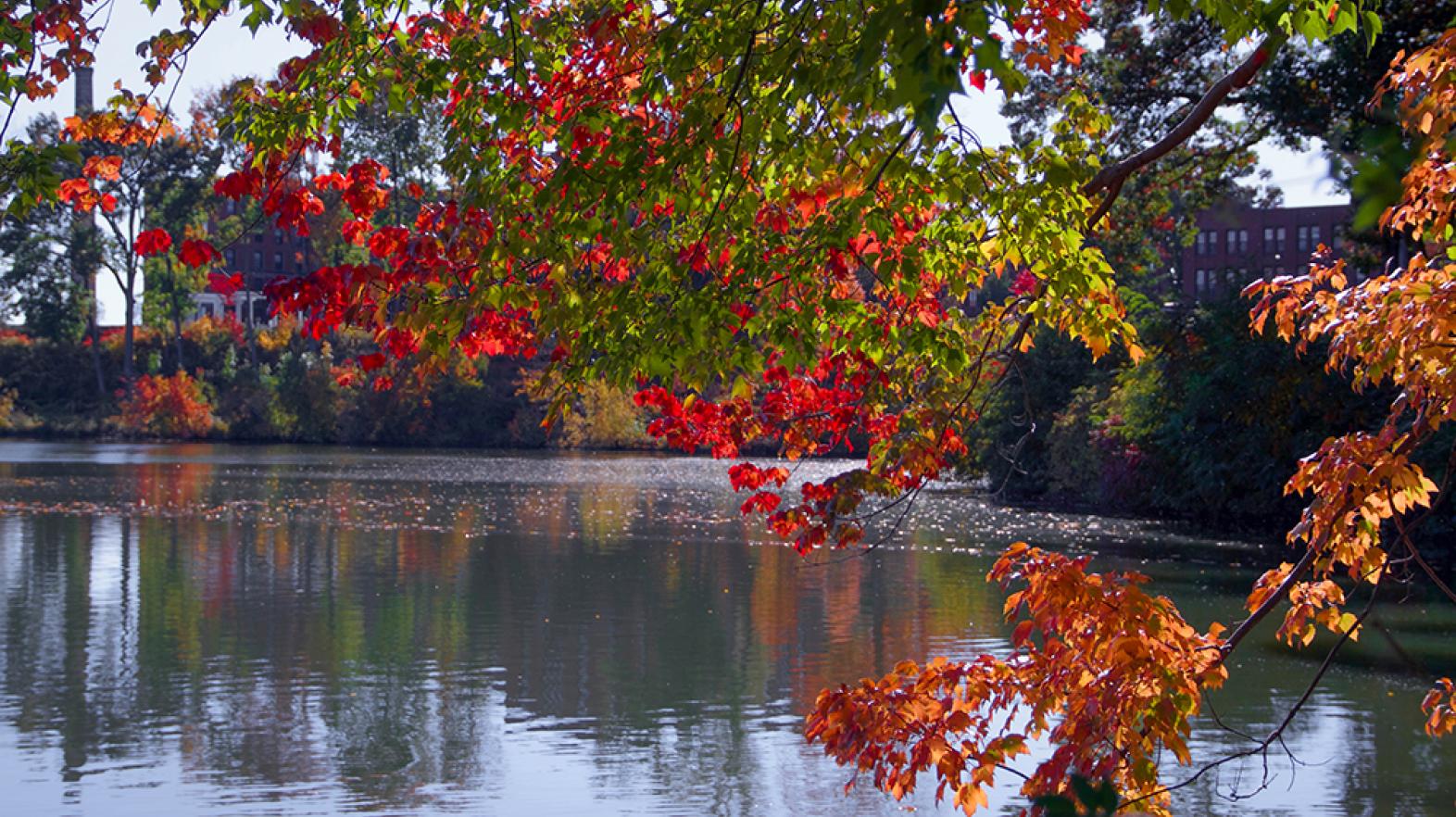 Fall foliage over Lake Massasoit during the fall 2016 semester at Springfield College