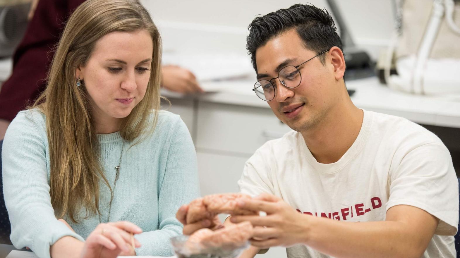 Students sitting in a classroom study a model brain. 