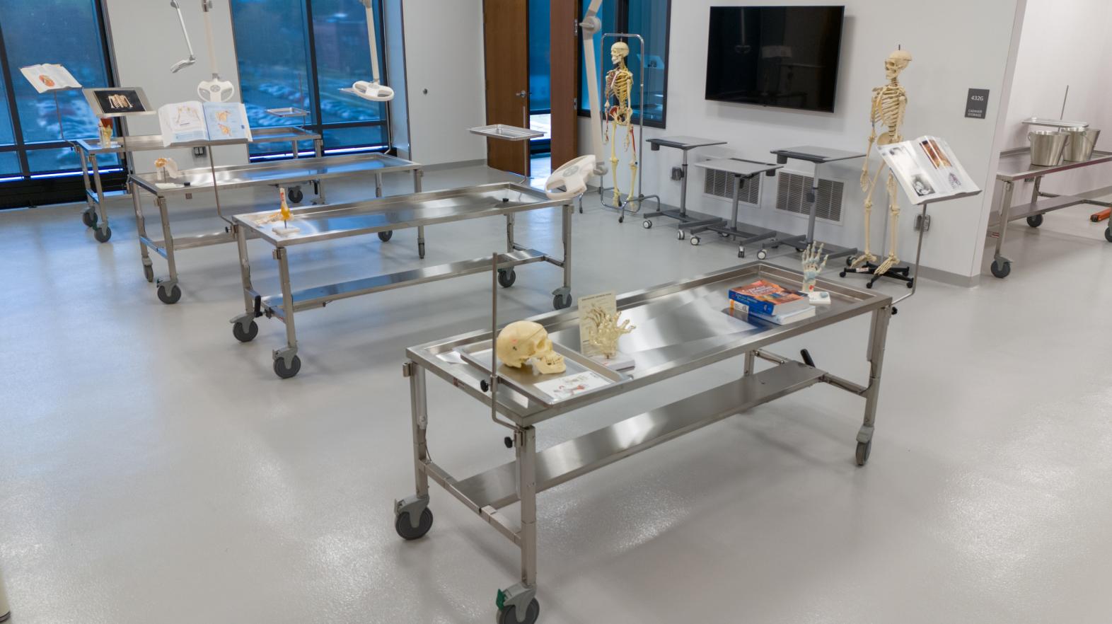 Human Anatomy Lab