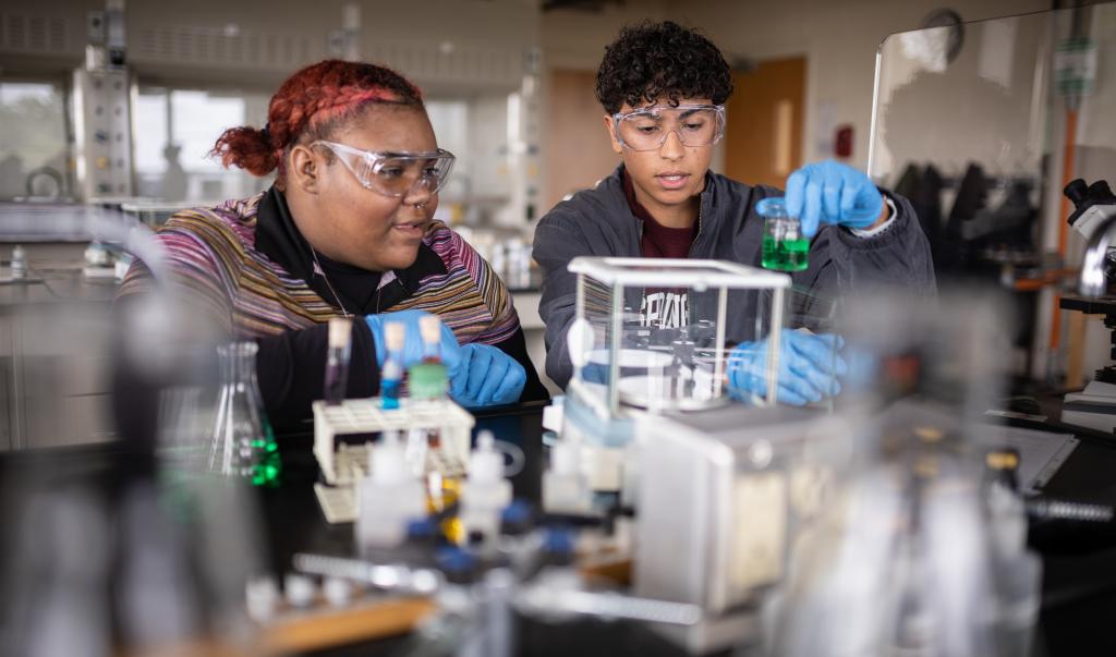 Biology students working in a lab