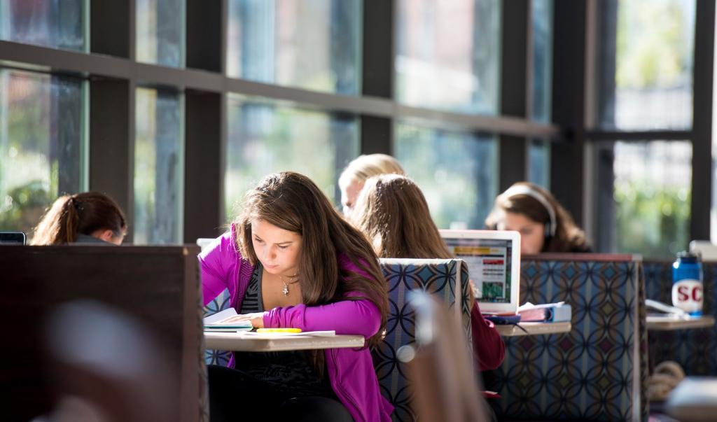 Female student studying in the campus union.