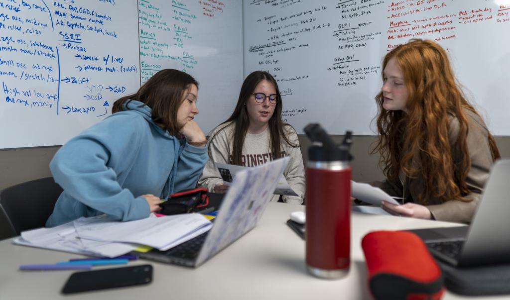 Students study in the Learning Commons at Springfield College 