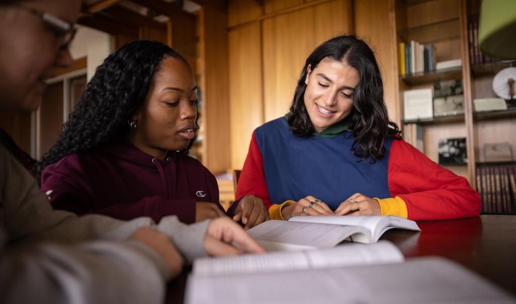 Springfield College students studying.