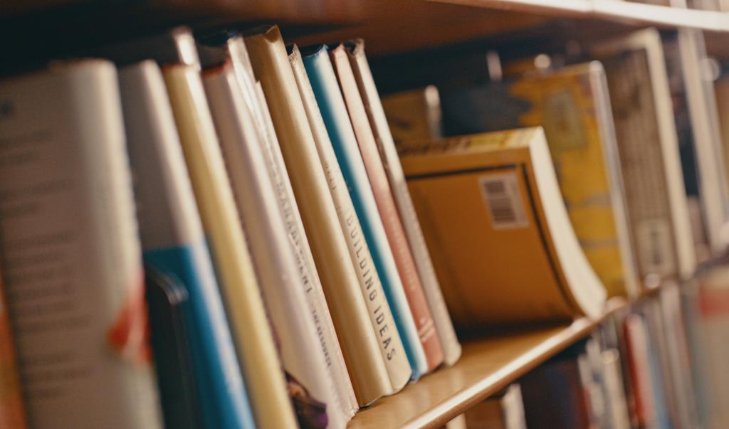 Library, research and row of books on bookshelf for reading, knowledge and educational learning. University bookstore, information and zoom of shelves with textbook, academic journal or literature