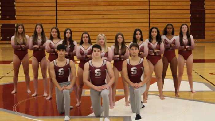 Springfield College - Gymnastics